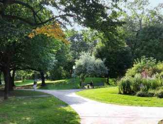 Westmounters discuss <br>the future of Westmount Park