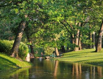 Le parc Westmount : <br>Perspective historique / 1