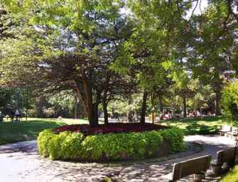 Westmount Park trees: <br>A living natural heritage /2