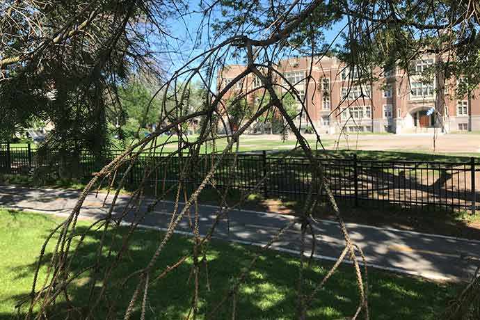 Description Westmount Park dead branches - WestmountMag.ca Copy Link https://oldsite.westmountmag.ca/wp-content/uploads/westmount-park_branches_westmountmag.jpg Required fields are marked * Video URL Here you can link a video. Only YouTube or Vimeo! ATTACHMENT DISPLAY SETTINGS Alignment Link To Size 1 selected Clear