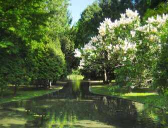 Westmount Park trees: <br>A living natural heritage /3