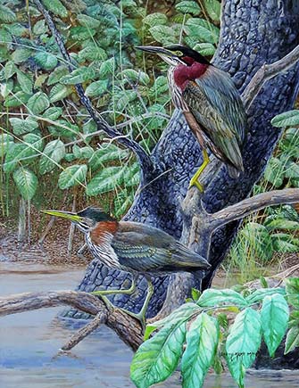 Wetland Sentinels painting Barry Kent MacKay