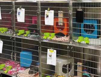 A visit to a model animal <br>shelter in Nashville
