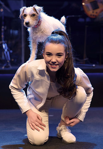 SuperDogs